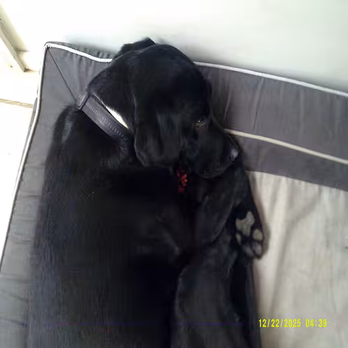Lara Pic 1