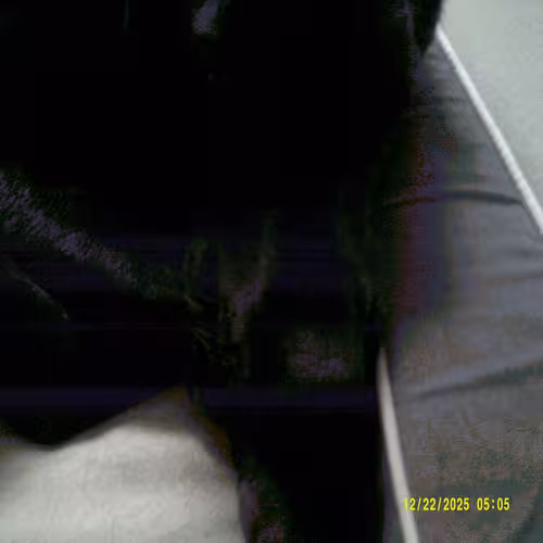 Lara Pic 2