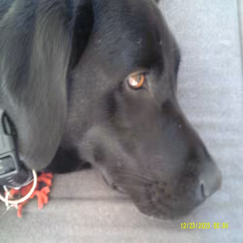 Lara Pic 6